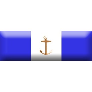 DECORAZIONE TESSUTO ANZIANITA' 16 ANN