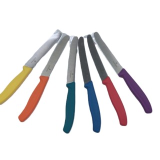 VICTORINOX COLTELLO TAVOLA SET 6 PEZZI COLORI ASS