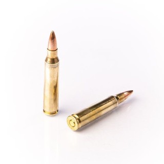 CARTUCCE CAL.223 REM FIOCCHI GR.55 FMJ C/50