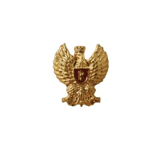 PIN POLIZIA DI STATO NUOVA AQUILA